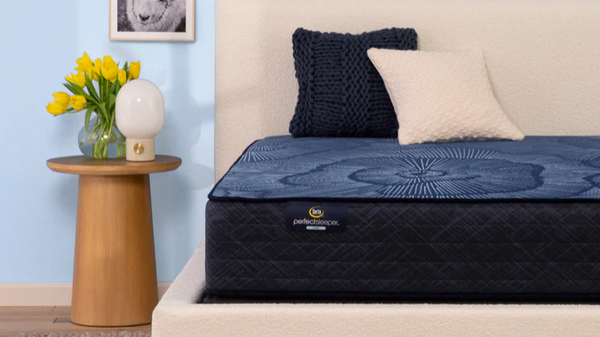 Twin Size Serta Perfect Sleeper Dazzling Night Firm