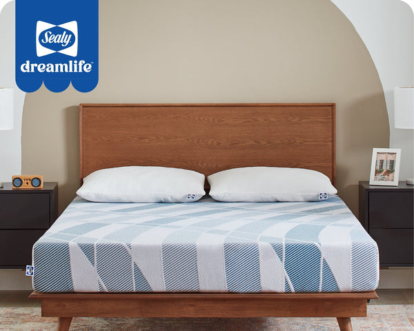 Dreamlife Full Size 8” Foam Bed In A Box