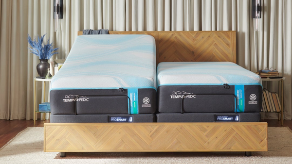 Cama con colchón expuesta en un dormitorio.