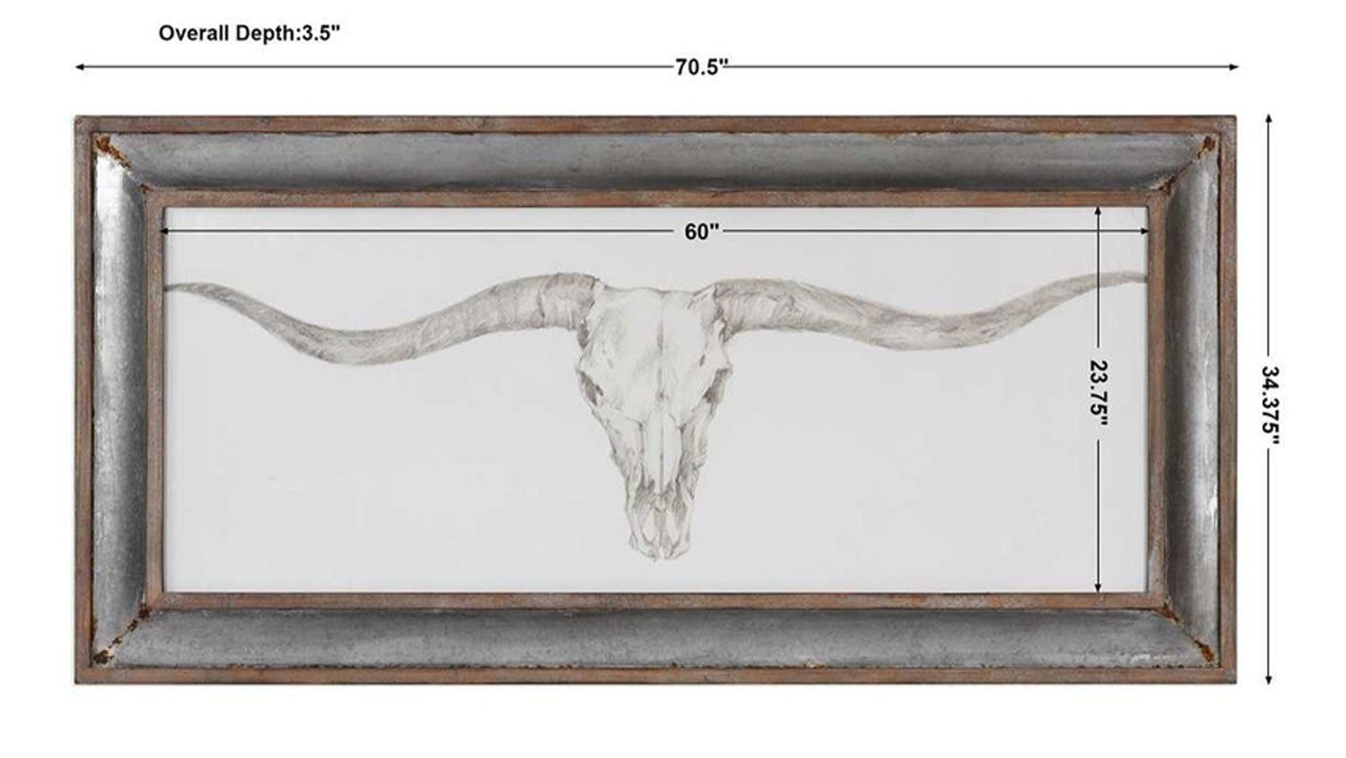 Western Skull Mount Framed Wall Art