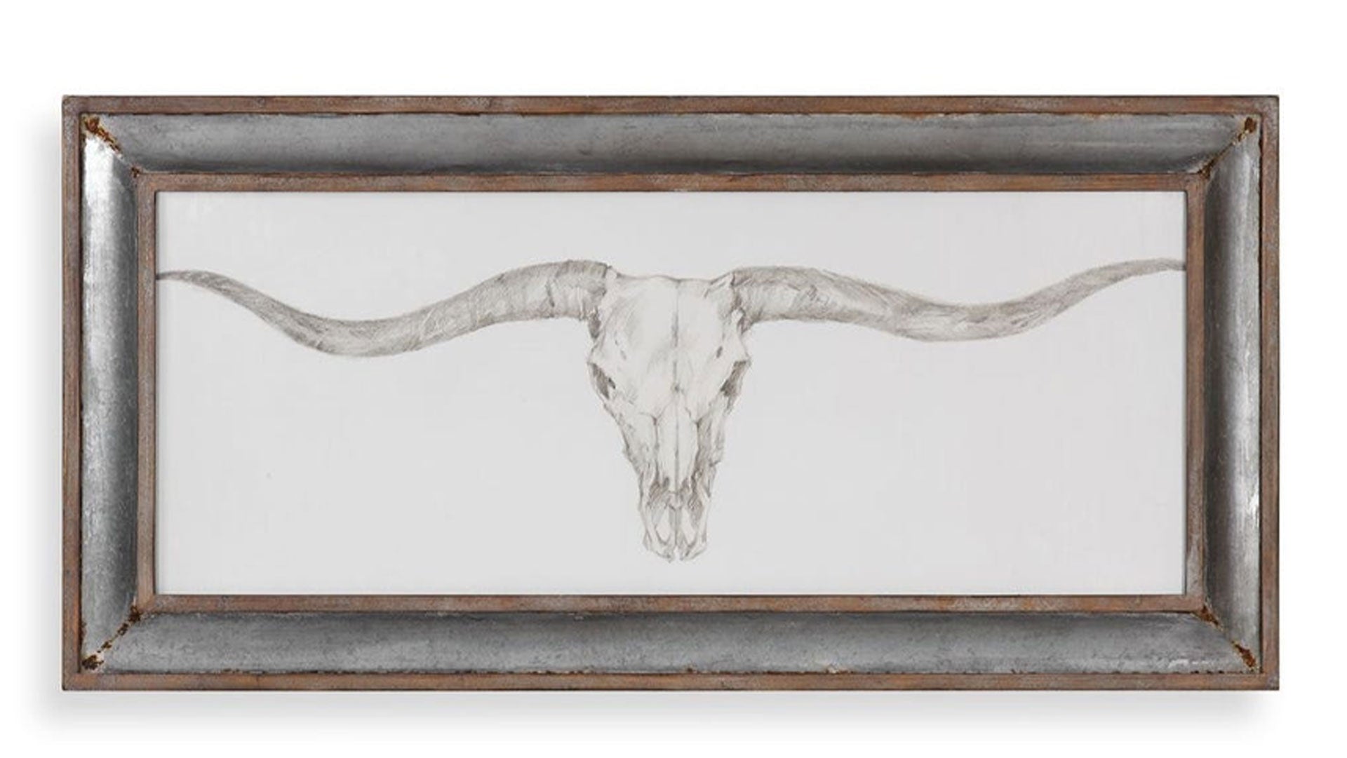 Western Skull Mount Framed Wall Art