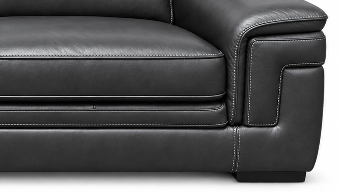 Close-up of a black leather sofa armrest and seat cushion with visible contrast stitching, shown against a white background.