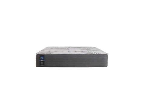 Sealy Posturepedic Satisfied II Cushion Firm Queen Size Mattress