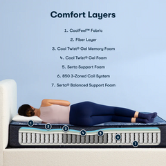 Twin Size Serta Perfect Sleeper Dazzling Night Firm