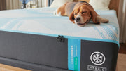 King Tempur-Pedic Luxe Breeze 2.0 Medium Hybrid - Sleeps 10° Cooler