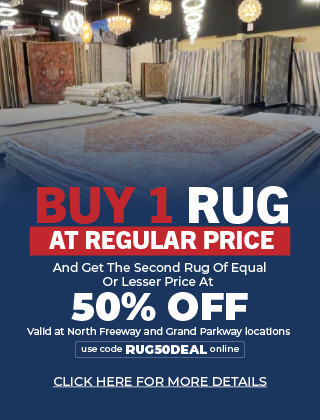 buy 1 rug Image