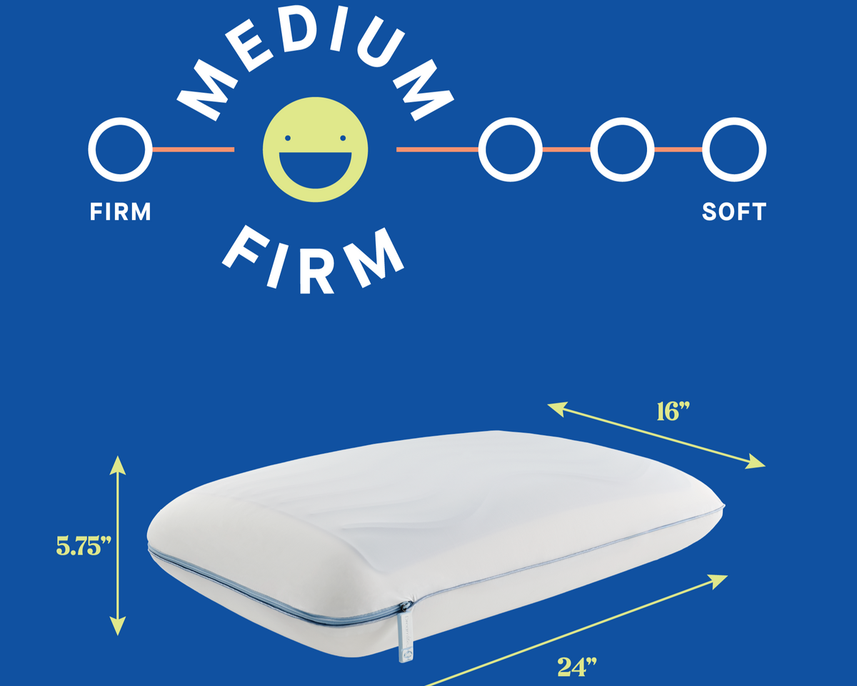 Dreamlife Molded Gel Standard Size Pillow