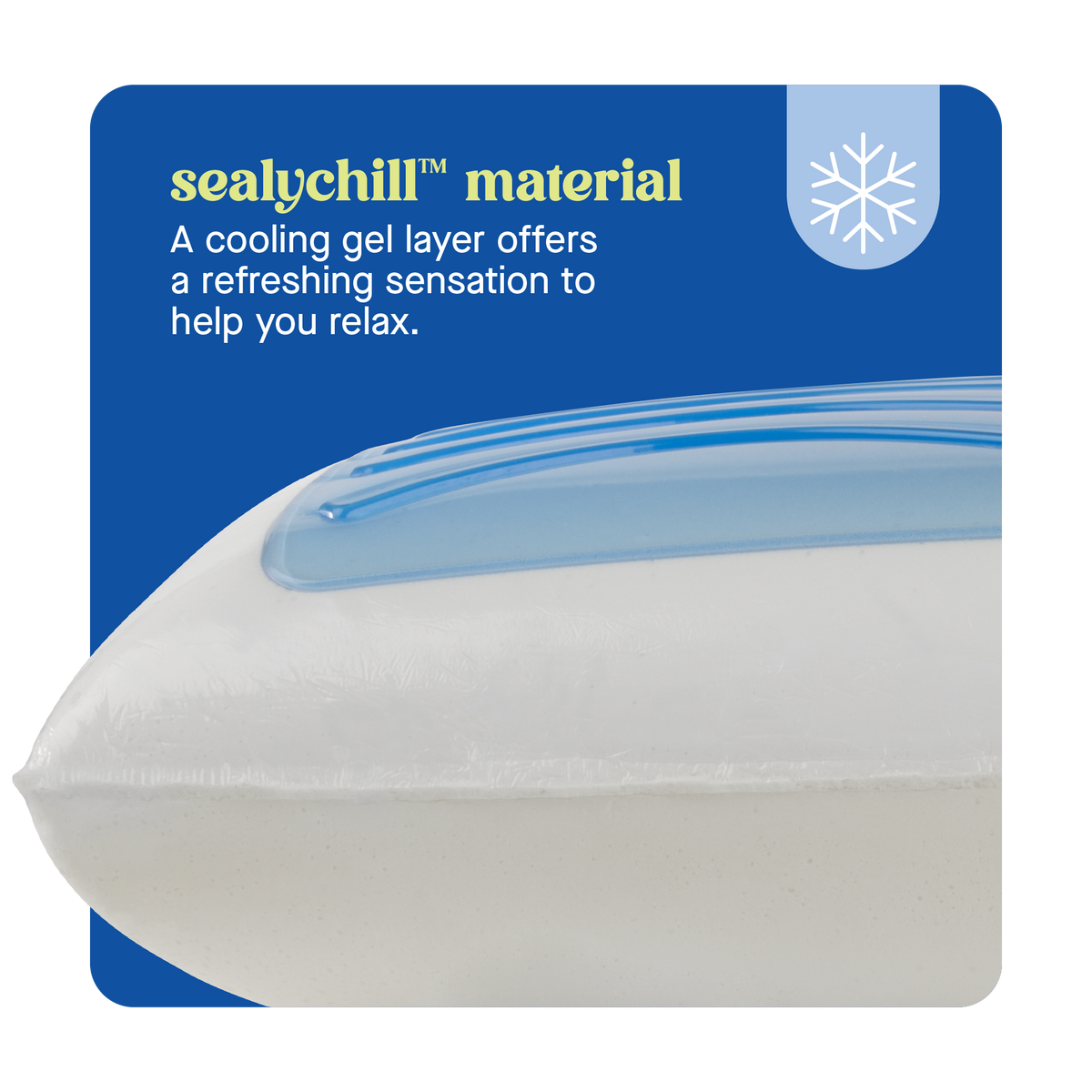 Dreamlife Molded Gel Standard Size Pillow