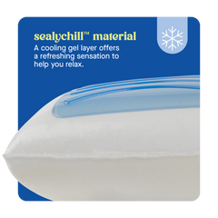 Dreamlife Molded Gel Standard Size Pillow