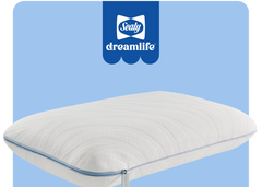 Dreamlife Molded Foam Standard Size Pillow