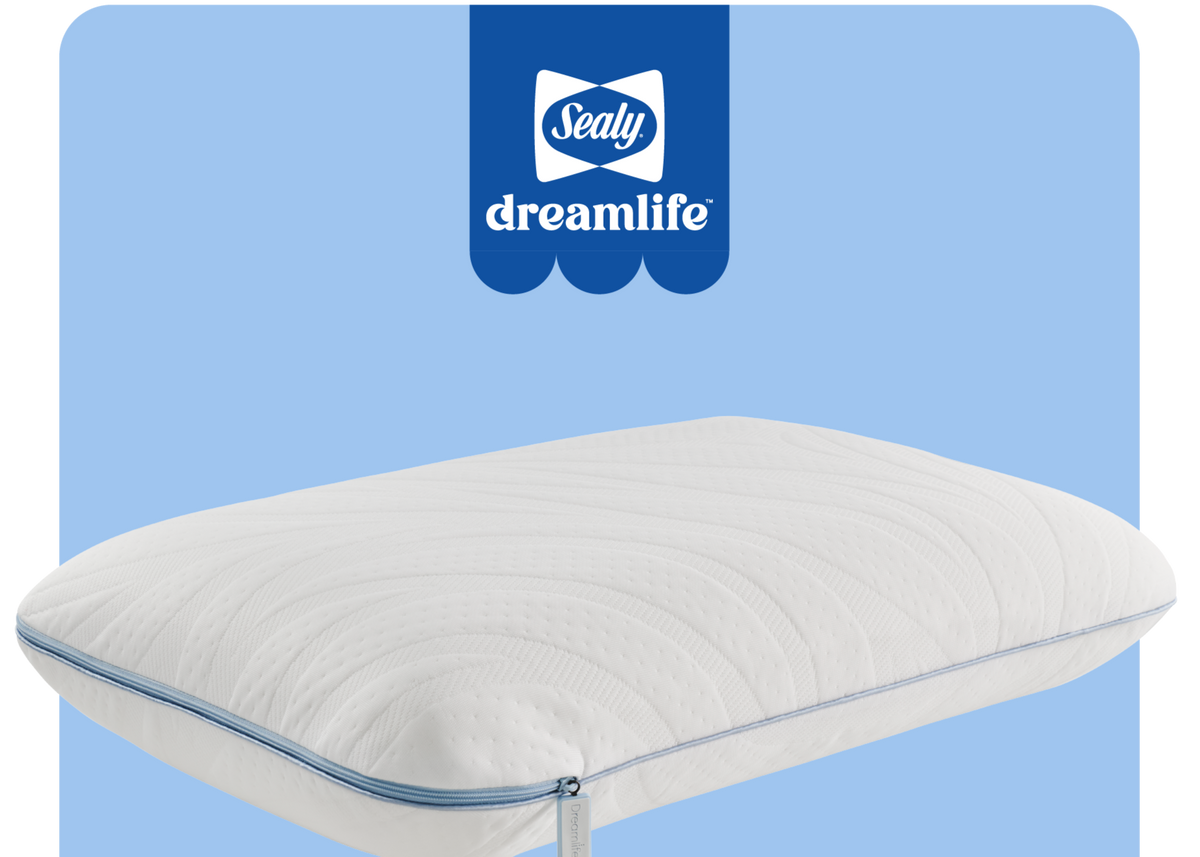 Dreamlife Molded Foam Standard Size Pillow