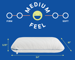 Dreamlife Molded Foam Standard Size Pillow