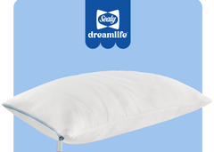 Dreamlife Shredded Foam Standard Size Pillow