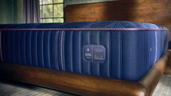 A luxury mattress on a wooden bed frame in a styled bedroom setting. The mattress is deep blue with purple piping and a visible brand label that reads 'VIONIC' and 'STANDARD PLUS'.