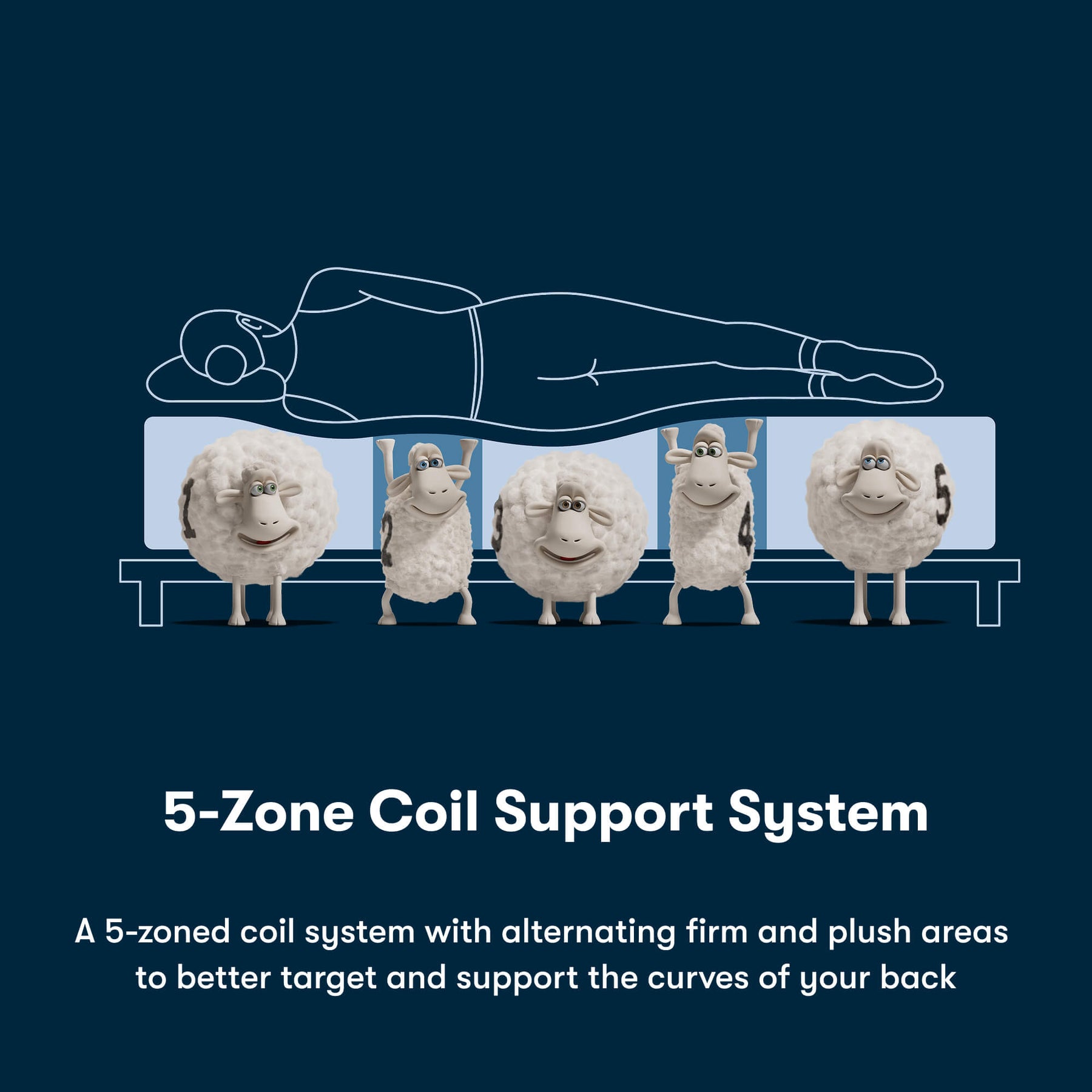 Illustration of a person lying on a mattress with cartoon sheep representing the 5-zone coil support system.
