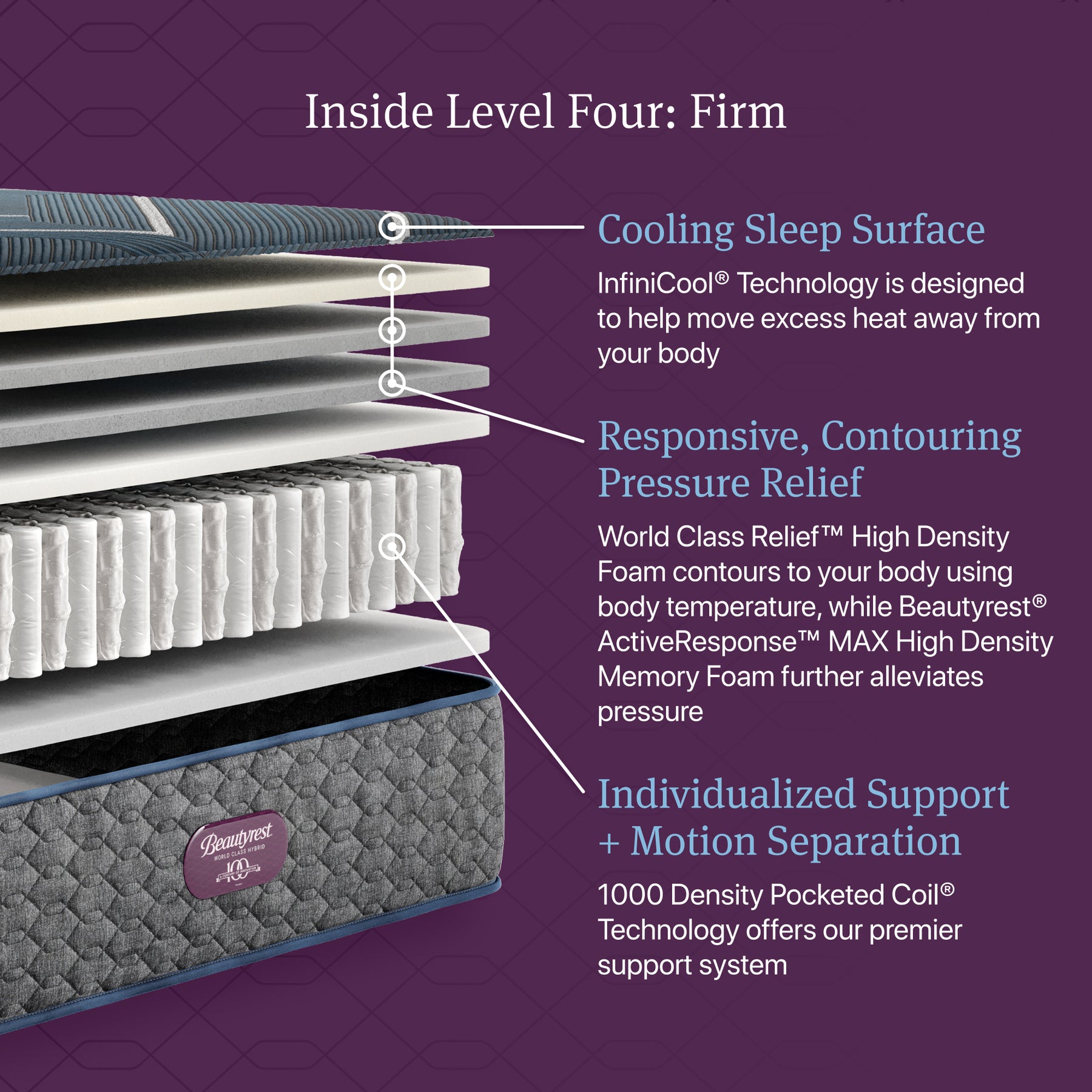 Detailed view of the world class level 4 with labeled features on a purple background