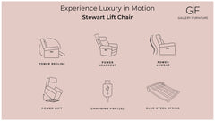 Stewart Brown P3 Power Lift Chair